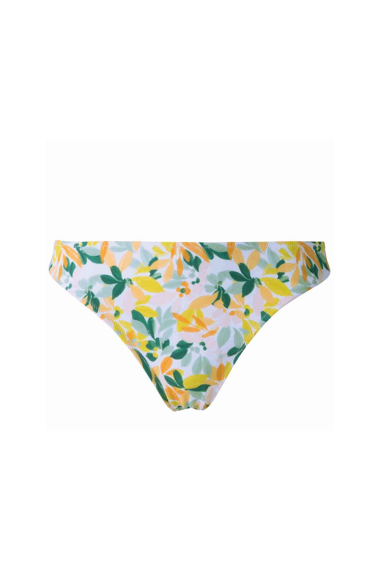 CAPELINE Briefs