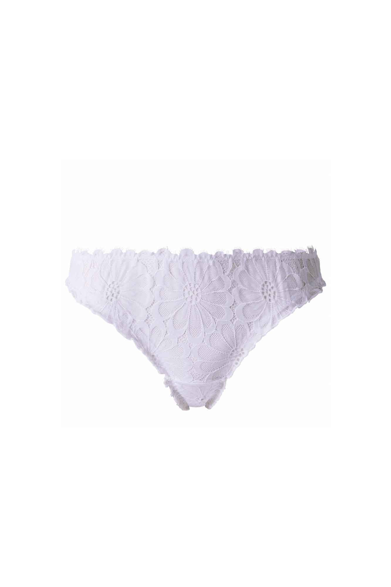 COLLECTION Briefs
