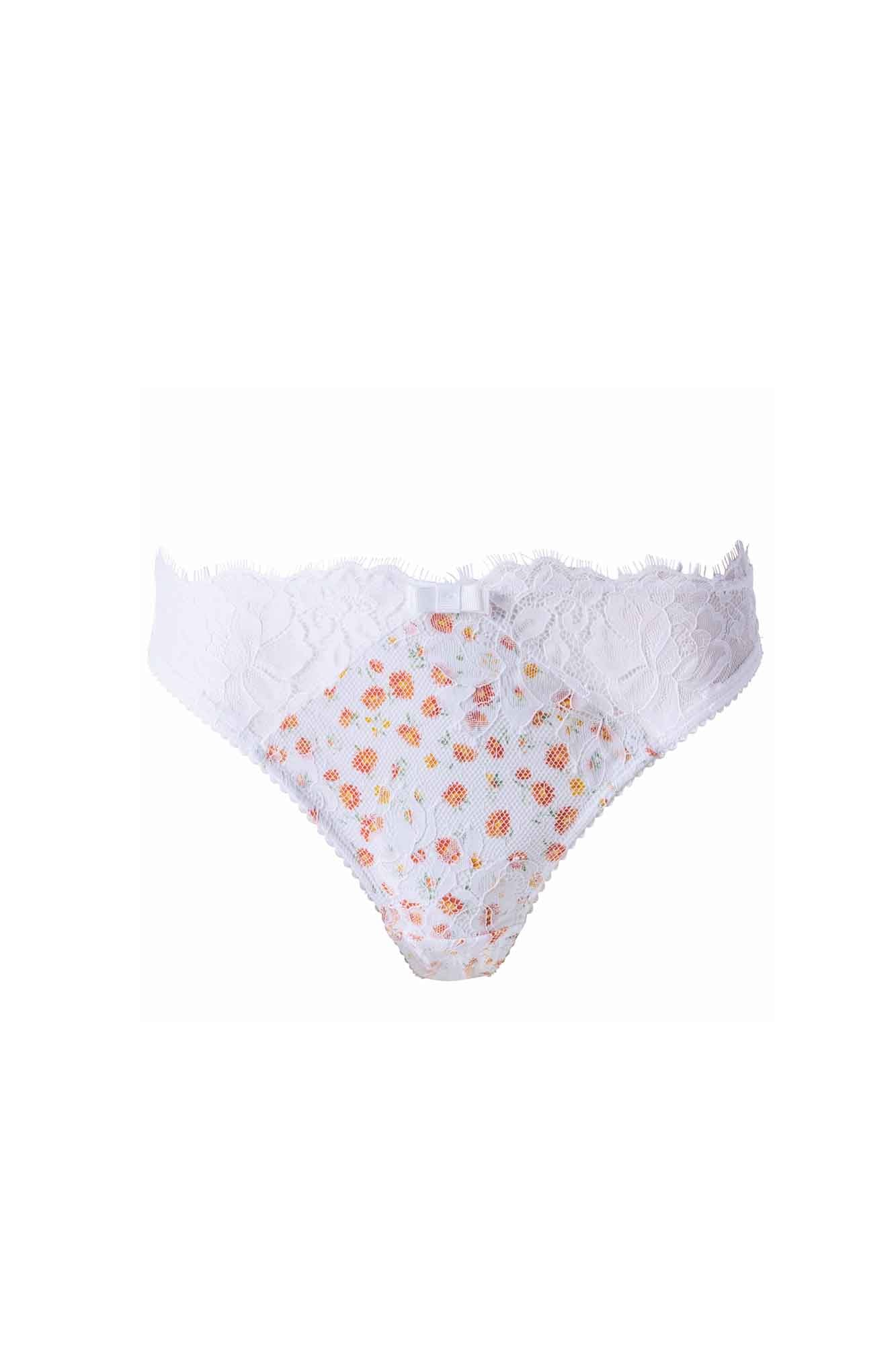DEFILE Briefs