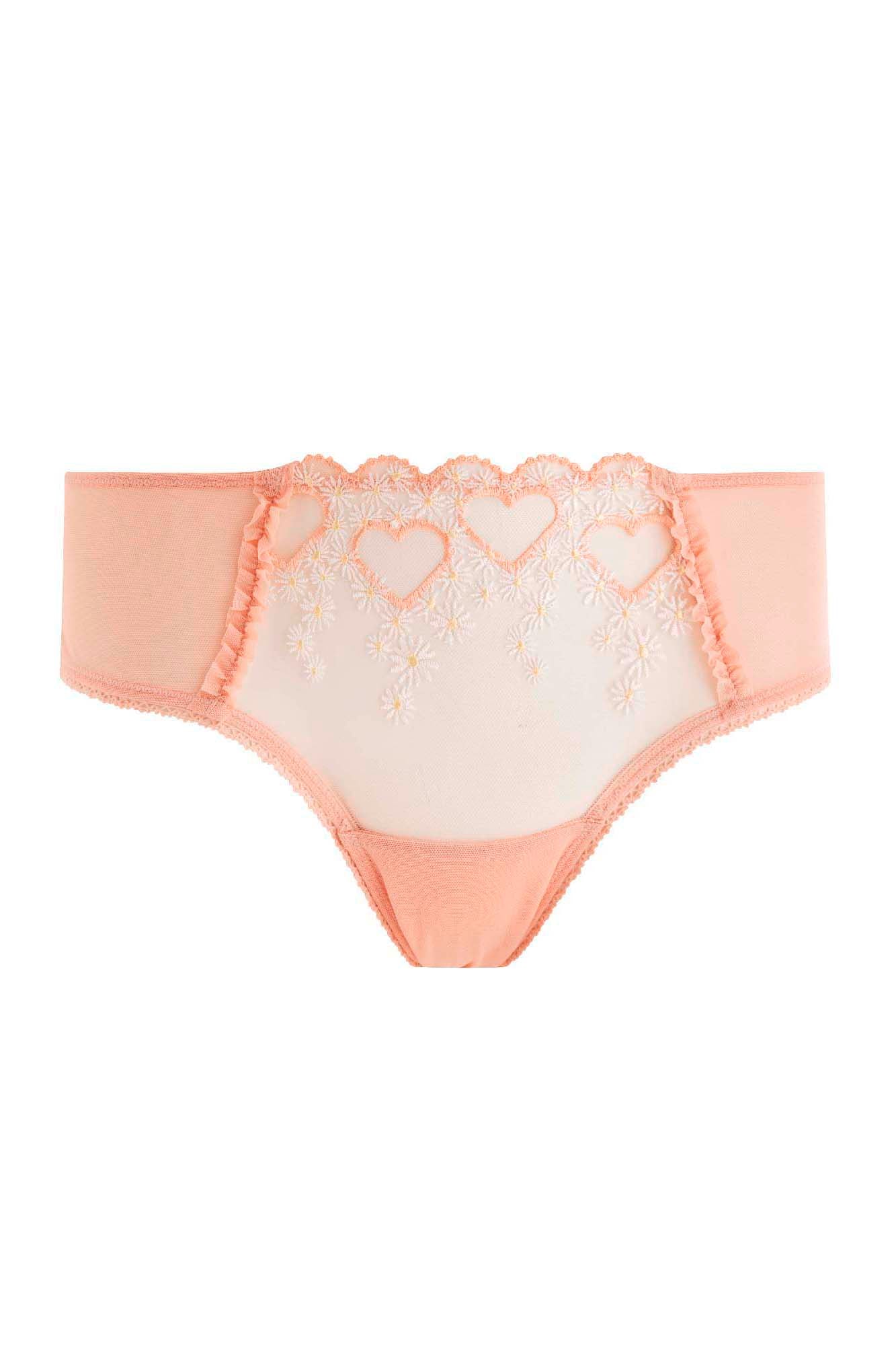 MERENGUE Shorty Tanga