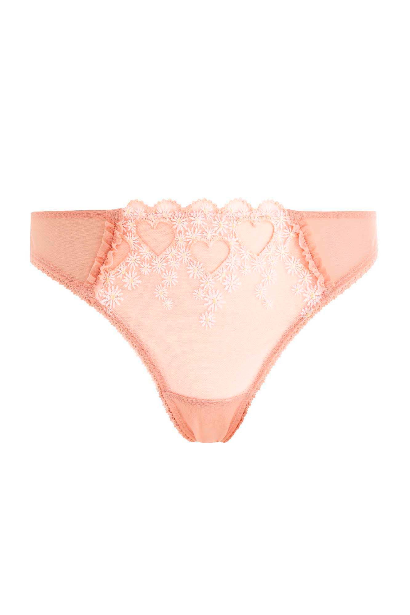 MERENGUE Tanga